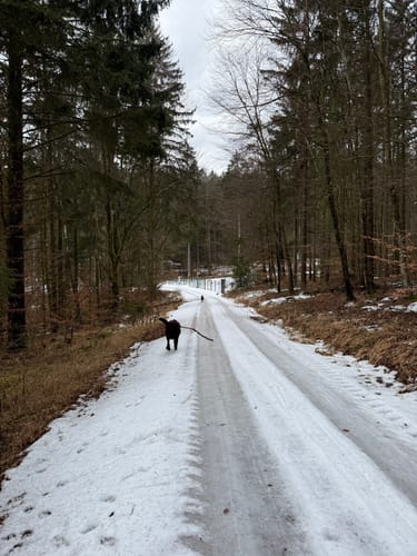 Einthal nach Randeck
