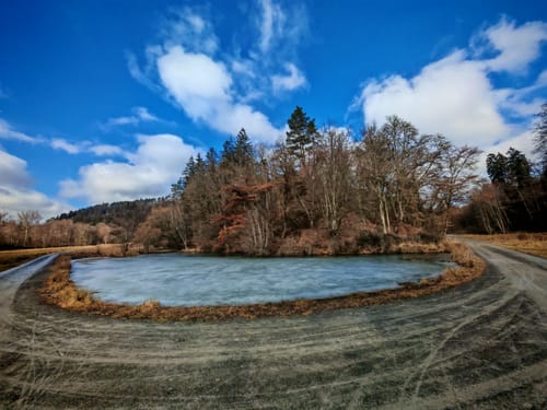 Bebenhausen - Goldersbachtal - Wildgehege