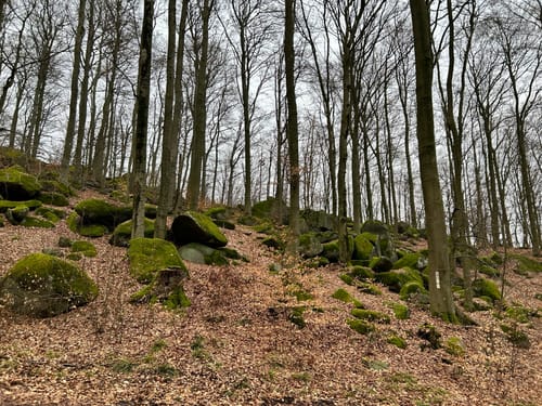 Felsenmeer – Melibokus - Riesenstuhl