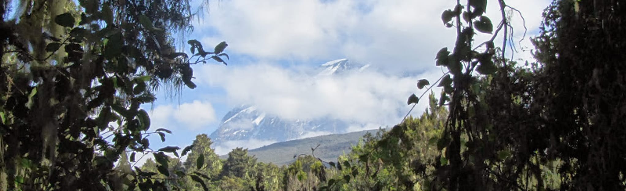 Mount Kilimanjaro Umbwe Route 609 foto's Kilimanjaro, Tanzania
