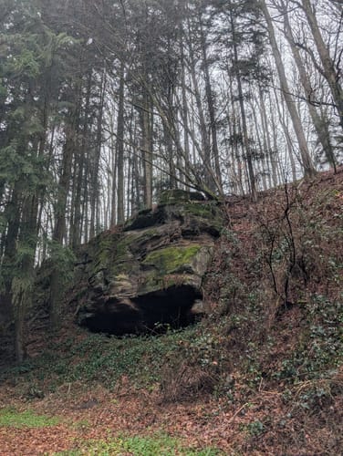 Höheinöd - Weihermühle - Odenbachtal