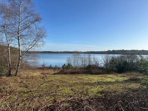 Reindersmeer