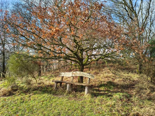 LandZeitTour (Traumschleife)