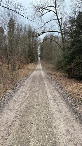 Waldwanderung im Feuchtlach