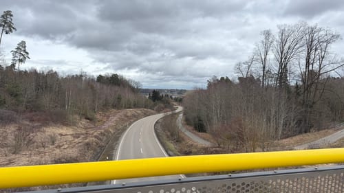 Waldwanderung im Feuchtlach