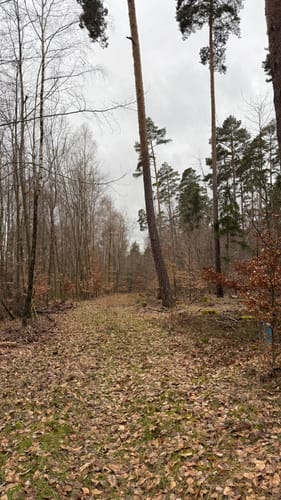 Waldwanderung im Feuchtlach