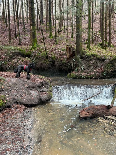 Hörschbachwasserfälle