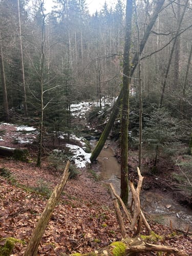 Geologischer Pfad Welzheim