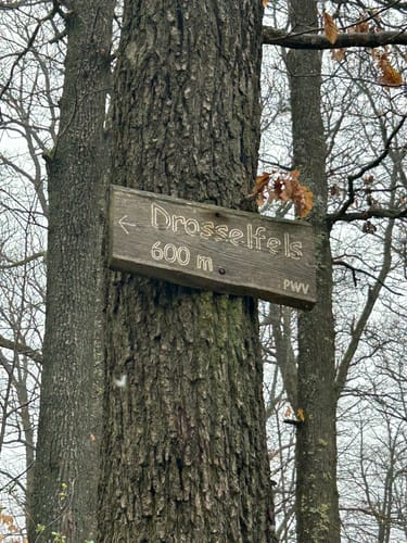 Kirchheimbolanden: Schillerhainrundweg 7