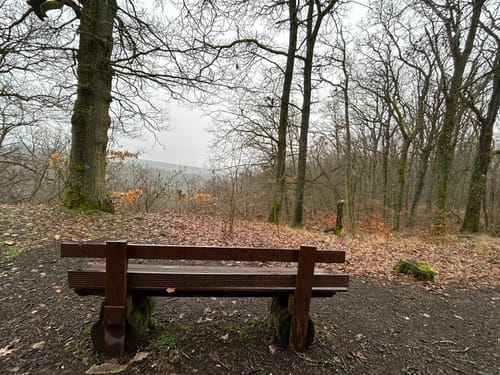 Kirchheimbolanden: Schillerhainrundweg 7