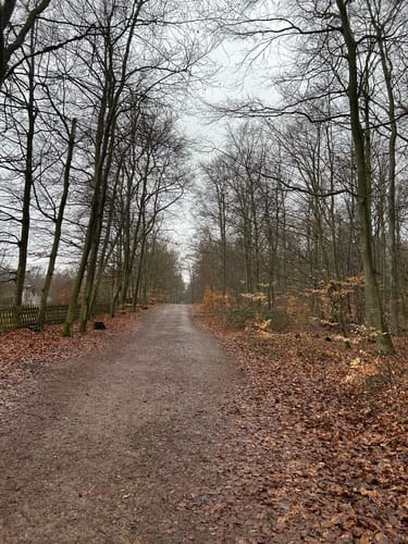 Kirchheimbolanden: Schillerhainrundweg 7