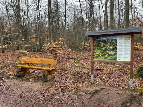 Kirchheimbolanden: Schillerhainrundweg 7
