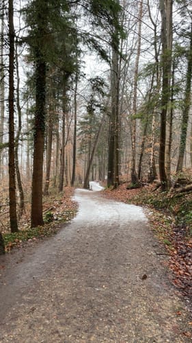 Rund um den Küchensee