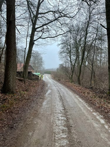 Rund um den Küchensee