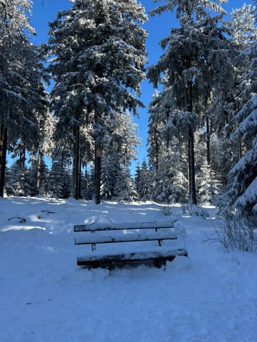 Großen Feldberg