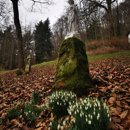 Naturpark Südeifel Wanderweg Nr. 16 - Biersdorf am See