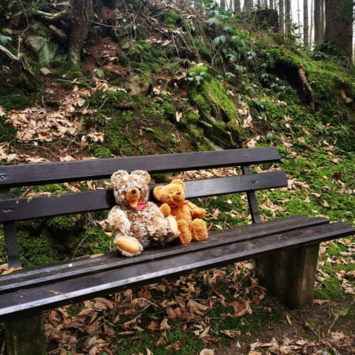 Naturpark Südeifel Wanderweg Nr. 16 - Biersdorf am See