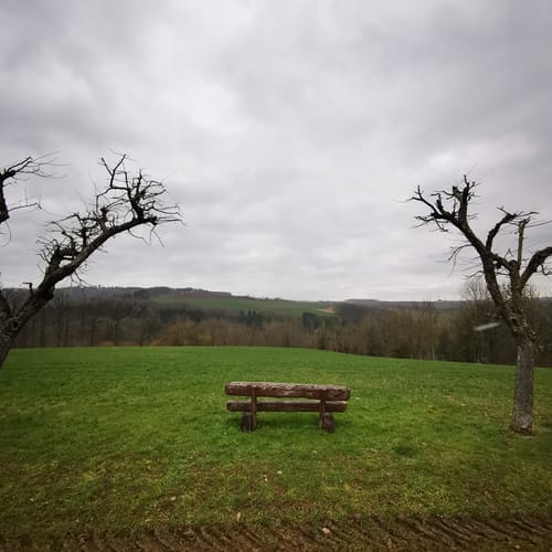 Naturpark Südeifel Wanderweg Nr. 16 - Biersdorf am See