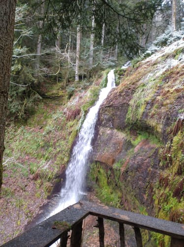 Rund um den kleiner Kinzigtalstausee
