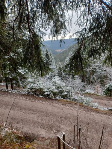 Rund um den kleiner Kinzigtalstausee