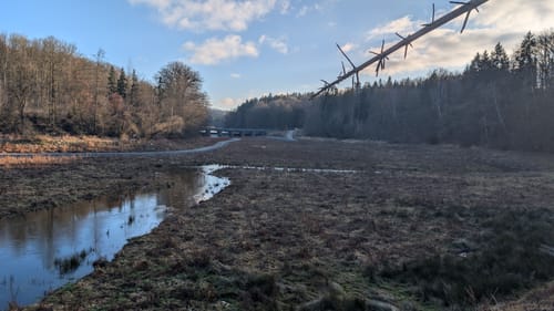 Zeulenrodaer Meer Rundweg