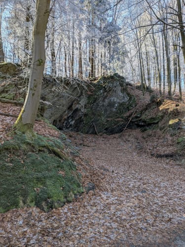 Olsberg Runde