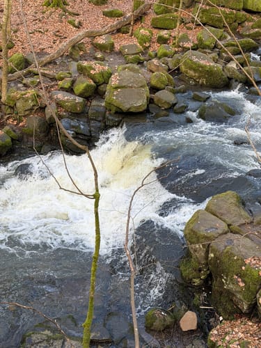 Grüner Steig und Seenweg durchs Westerburger Land