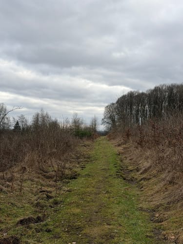 Grüner Steig und Seenweg durchs Westerburger Land