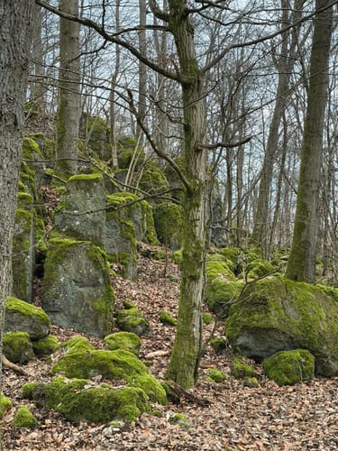 Grüner Steig und Seenweg durchs Westerburger Land