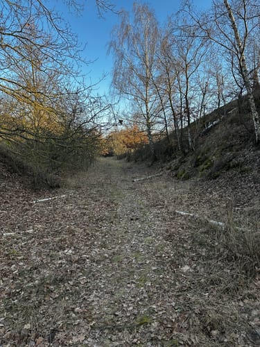 Döblitz Wanderung zu den Kuhschellen