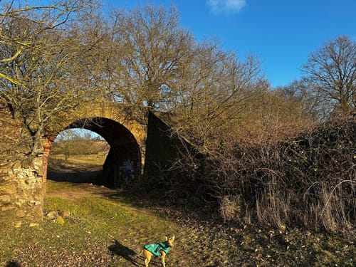 Döblitz Wanderung zu den Kuhschellen