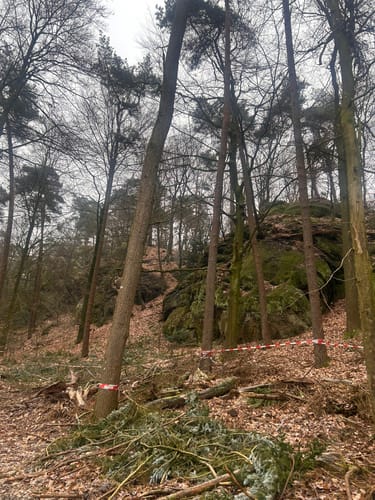 Dörenther Klippen (Teutoschleife)