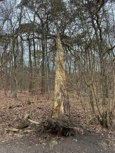 Rundweg Sechs Seen Platte