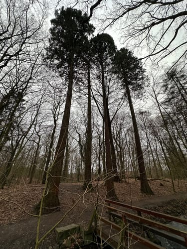 Rundweg Sechs Seen Platte
