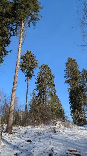 Entlang der Bille
