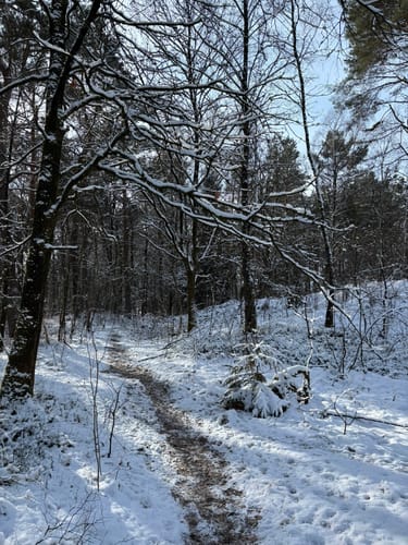 Durchs Estetal zwischen Hollenstedt und Kakenstorf