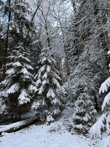 Durchs Estetal zwischen Hollenstedt und Kakenstorf