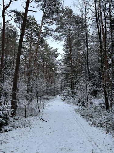 Durchs Estetal zwischen Hollenstedt und Kakenstorf