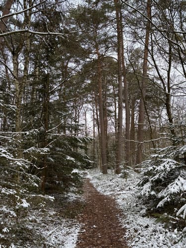 Durchs Estetal zwischen Hollenstedt und Kakenstorf