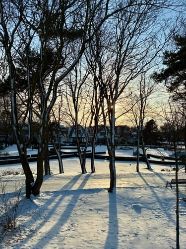 Boltenhagen Dünenpromenade