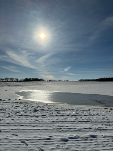 Steilküste bei Boltenhagen
