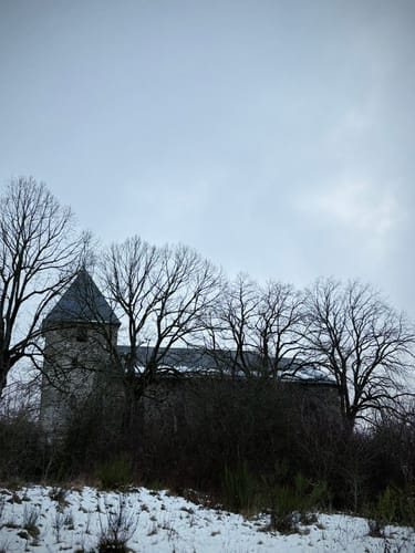 Auf den Spuren vergangener Zeiten und zukünftiger Wildnis