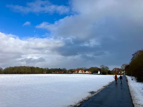 Wanderroute 2: Tillyhügel - Iburg - Tillysee - Hochzeitswald