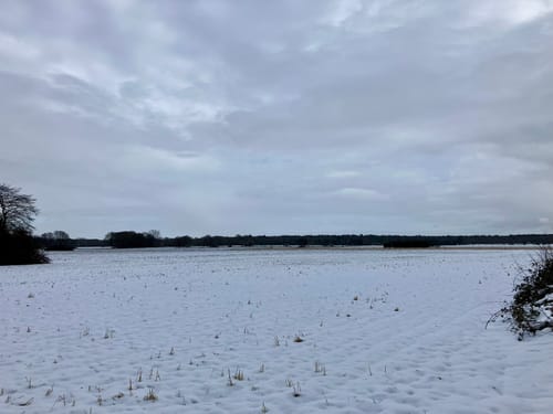 Wanderroute 2: Tillyhügel - Iburg - Tillysee - Hochzeitswald