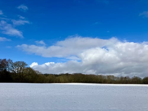 Wanderroute 2: Tillyhügel - Iburg - Tillysee - Hochzeitswald