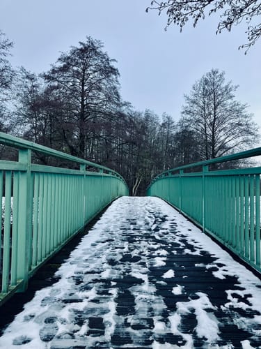 Wanderroute 2: Tillyhügel - Iburg - Tillysee - Hochzeitswald