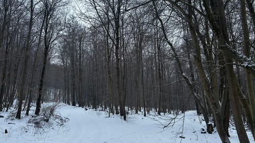 Durch das Reitlingstal