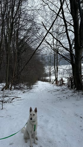 Durch das Reitlingstal