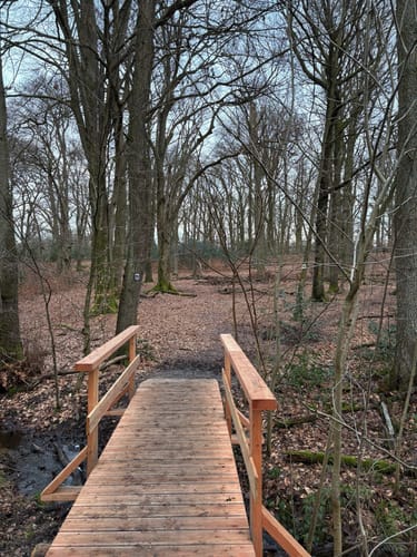 Rundwanderweg A7 (Wildenrath)