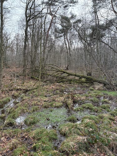 Rundwanderweg A7 (Wildenrath)